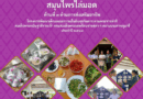 กิจกรรมแนวปฏิบัติที่ดีรายด้าน ชื่อผลงาน  สมุนไพรไล่มอดในข้าวสาร