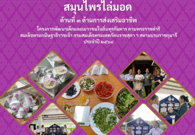 กิจกรรมแนวปฏิบัติที่ดีรายด้าน ชื่อผลงาน  สมุนไพรไล่มอดในข้าวสาร